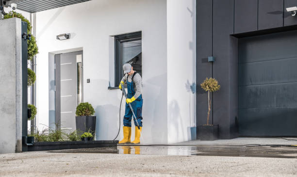 Best Fleet Vehicle Washing  in Kingsville, MD